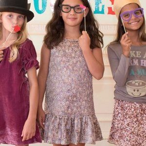 Nordstrom PEEK 'Brooklyn' shimmery pink crop waist Holiday dress 2-3 yrs